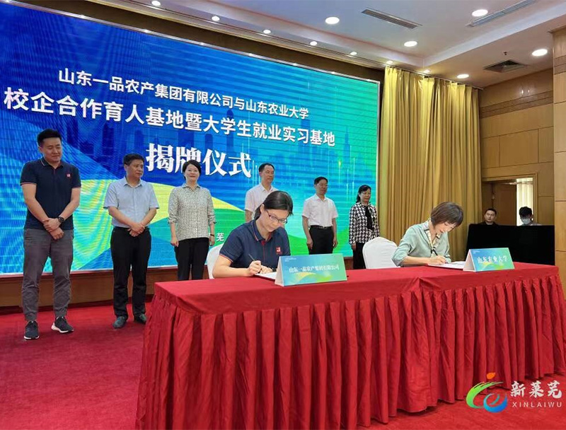 Coopération collège-entreprise